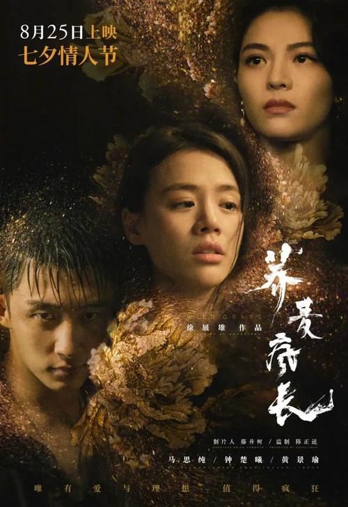 武术协会段位证书高仿版本